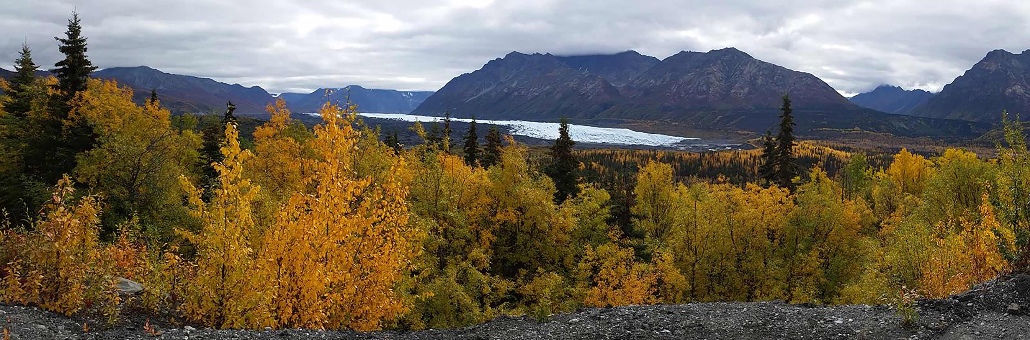 Photo taken of Matanuska Glacier in AK.