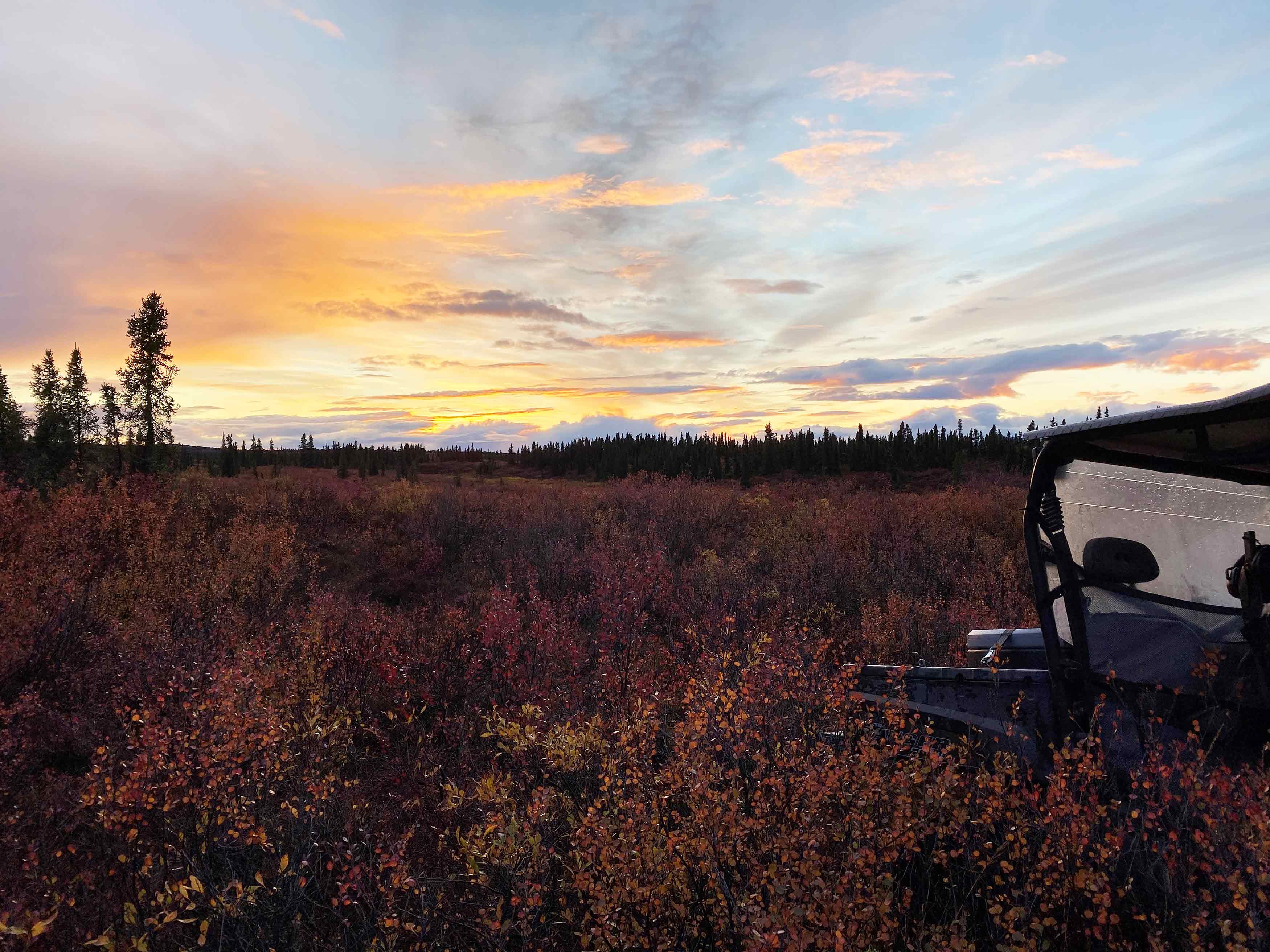 Photo of Denali Highway taken by an Umialik employee.